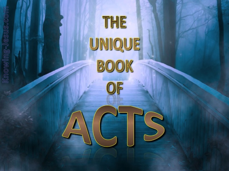 The Unique Book of Acts (devotional) (blue)